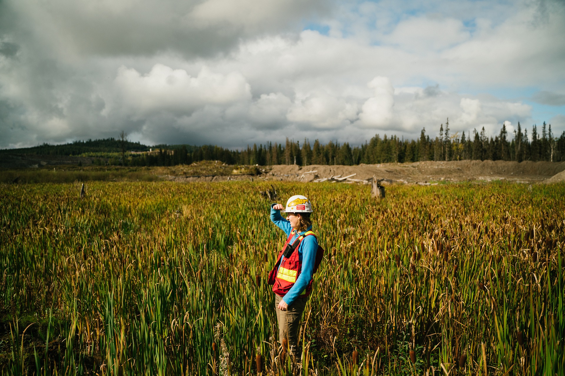 7 Critical Study Tips For Students Studying Environmental Science